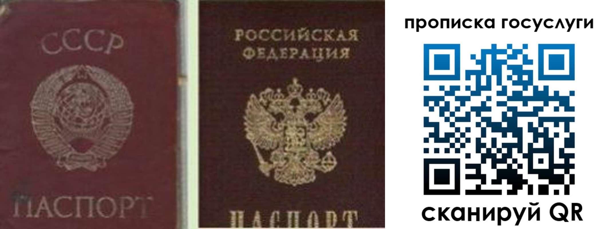 временная регистрация 2025 в Белой Холунице